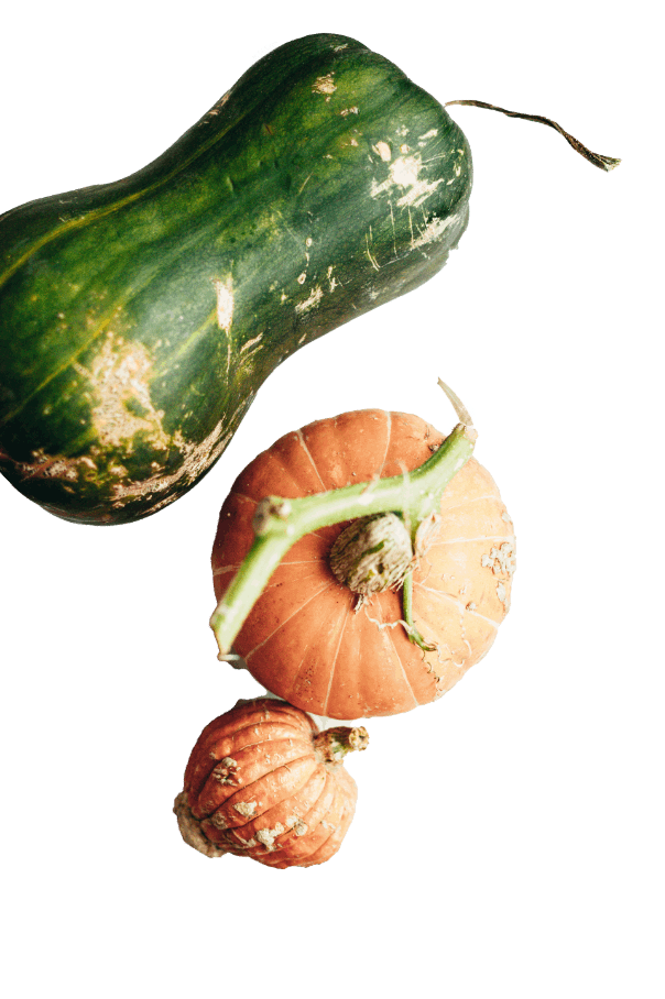 pexels-daria-shevtsova-4117714@2x.png IMAGEN